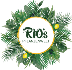 Shop - Rio´s Pflanzenwelt